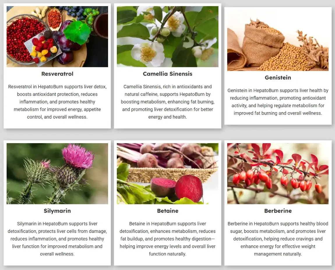 Ingredients